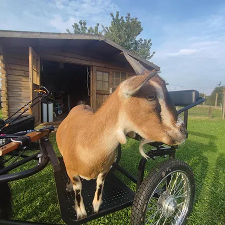 Apartman A La Campagne